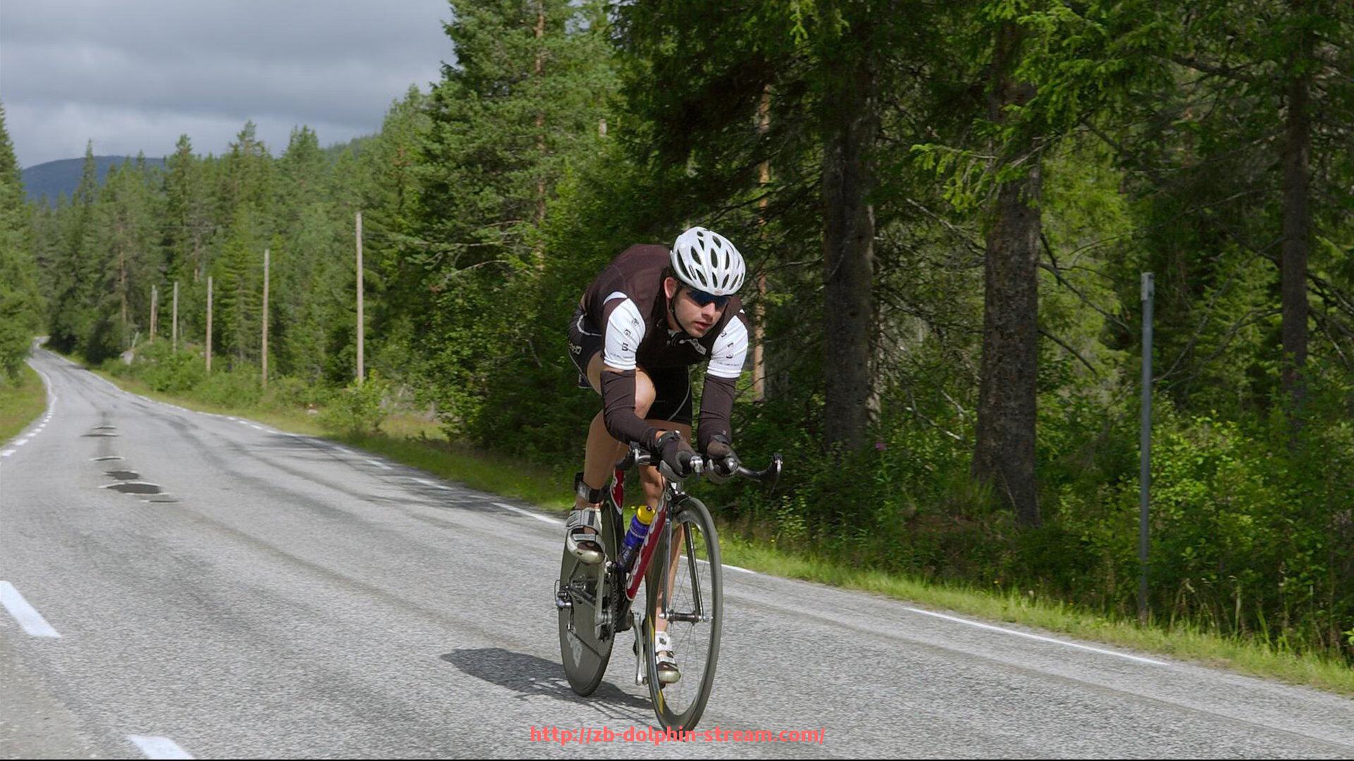 海豚直播-火箭队15号球员的详细资料