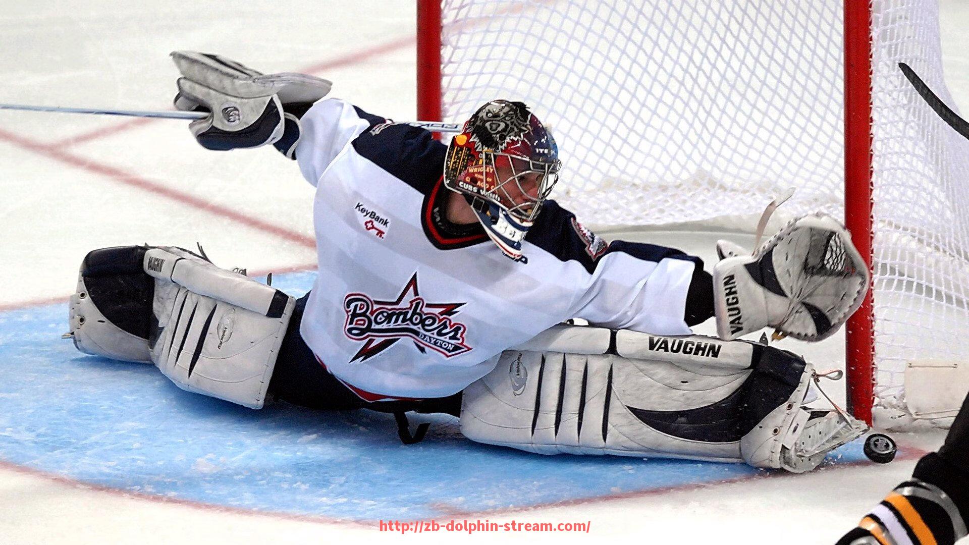 海豚直播-英超球员阿什利·扬职业生涯回顾，边路快马的传奇征程