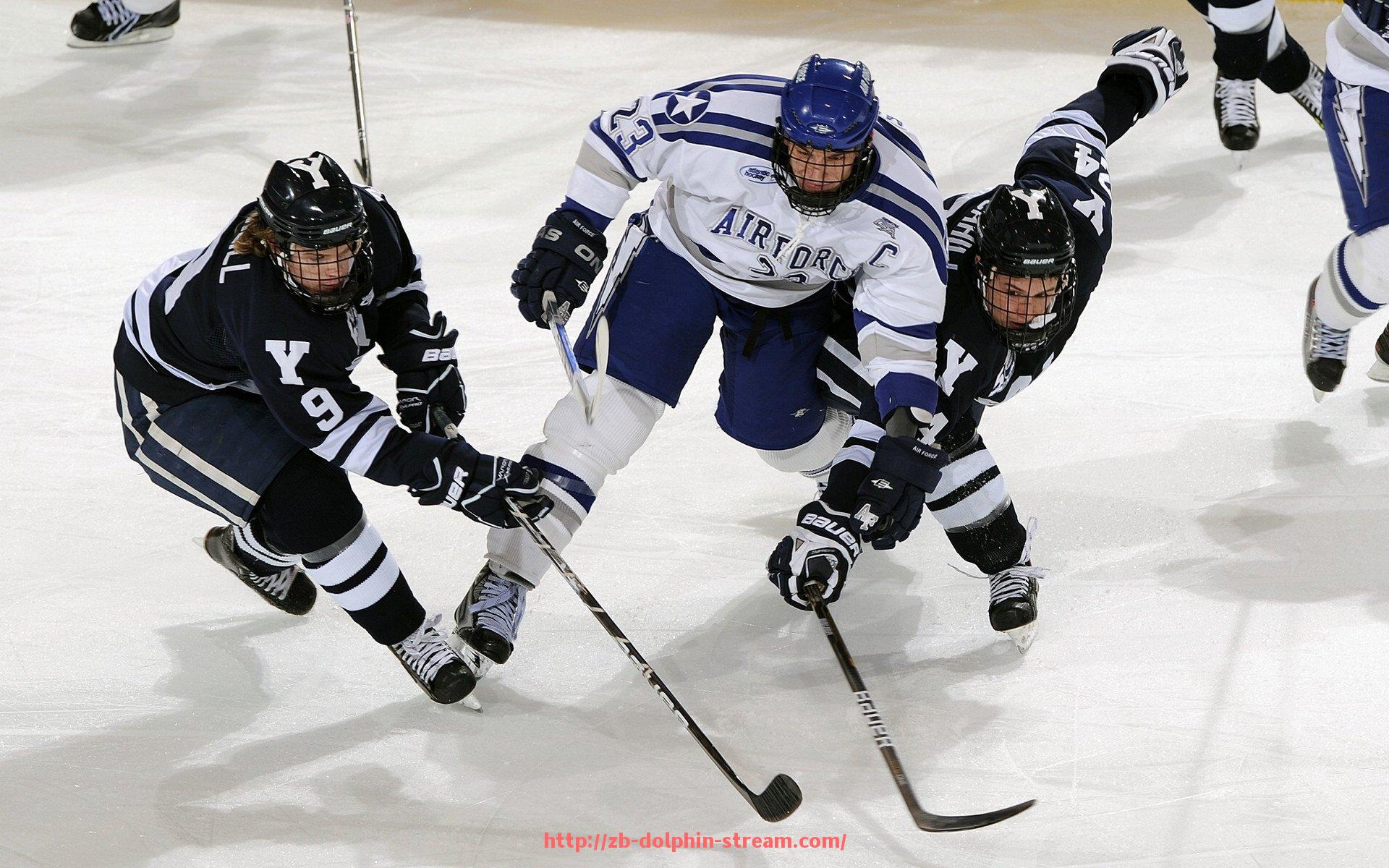 海豚直播-世俱杯赛事整体商业价值评估与赞助分布分析 海豚直播-世俱杯赛事整体商业价值评估与赞助分布分析