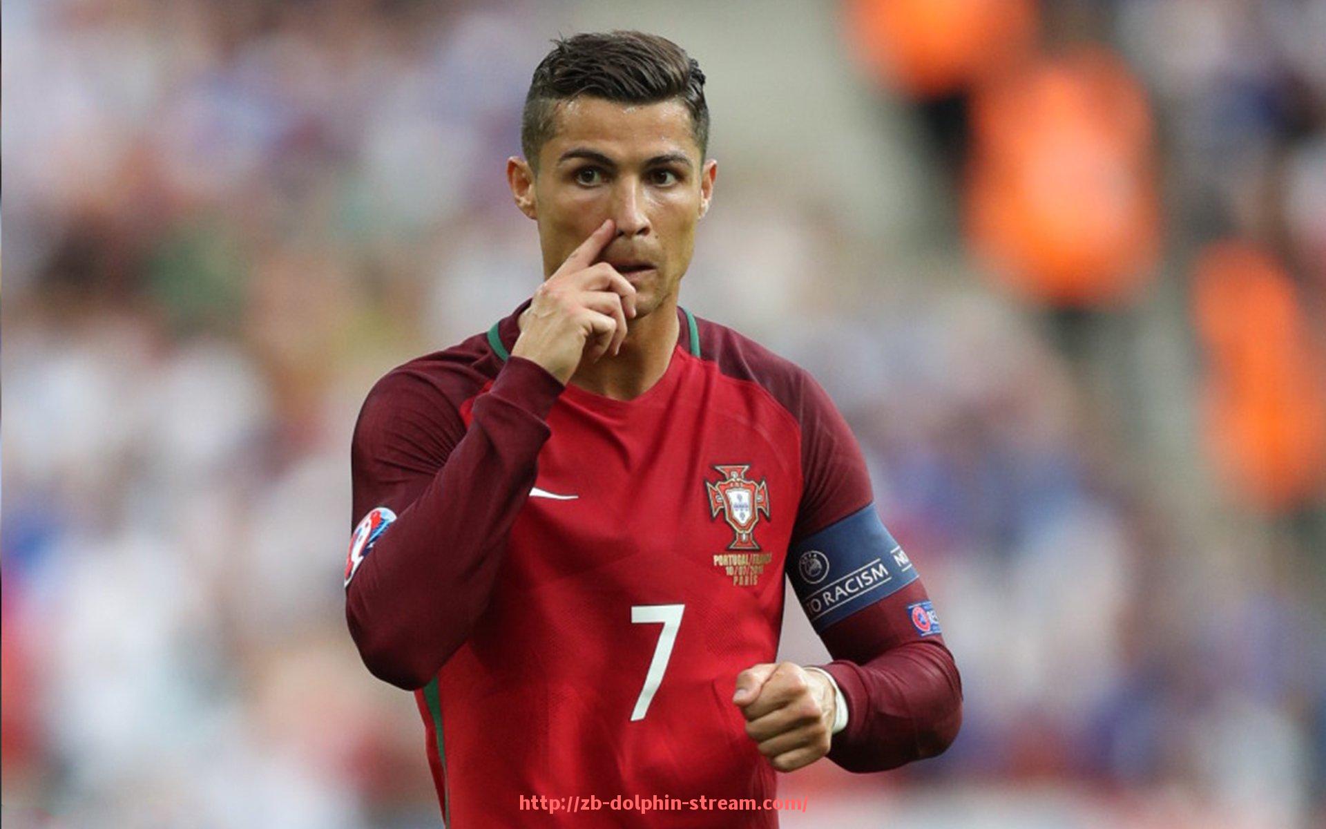 海豚直播-国内综合健身器材品牌推荐及市场评价 海豚直播-国内综合健身器材品牌推荐及市场评价