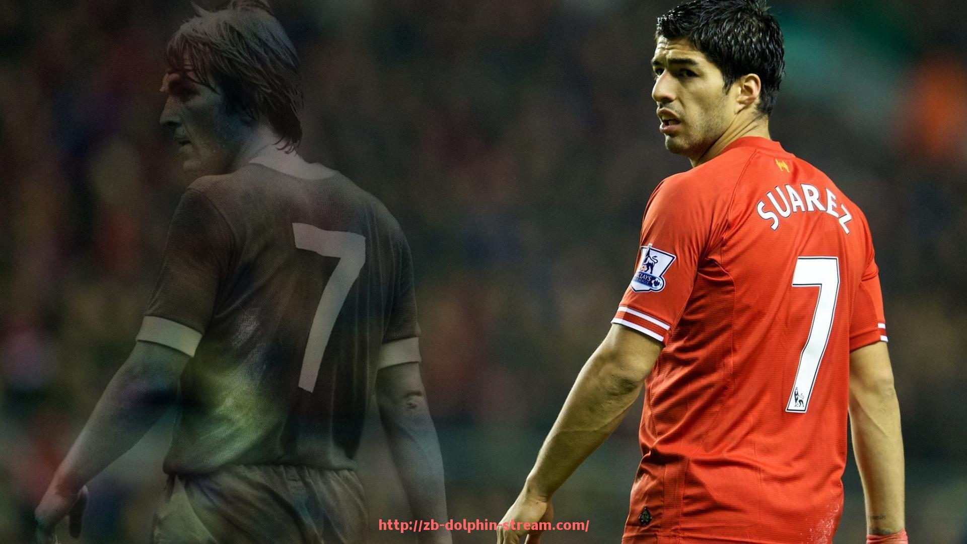 海豚直播-火箭队推出中文球衣背后意义与球迷反响